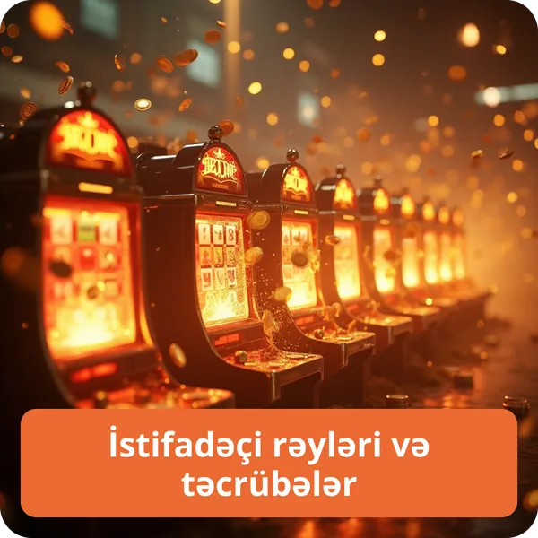 İstifadəçi rəyləri və təcrübələr